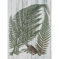 thumbnail image 2 of Studio W 25x32 Black Ornate Wood Framed with Double Matting Museum Art Print Titled - Rustic Greenery I, 2 of 4