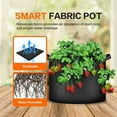 thumbnail image 6 of iPower 5-Pack 30 Gallon Plant Grow Bags Thickened Nonwoven Aeration Fabric Pots Durable, Black, 6 of 7