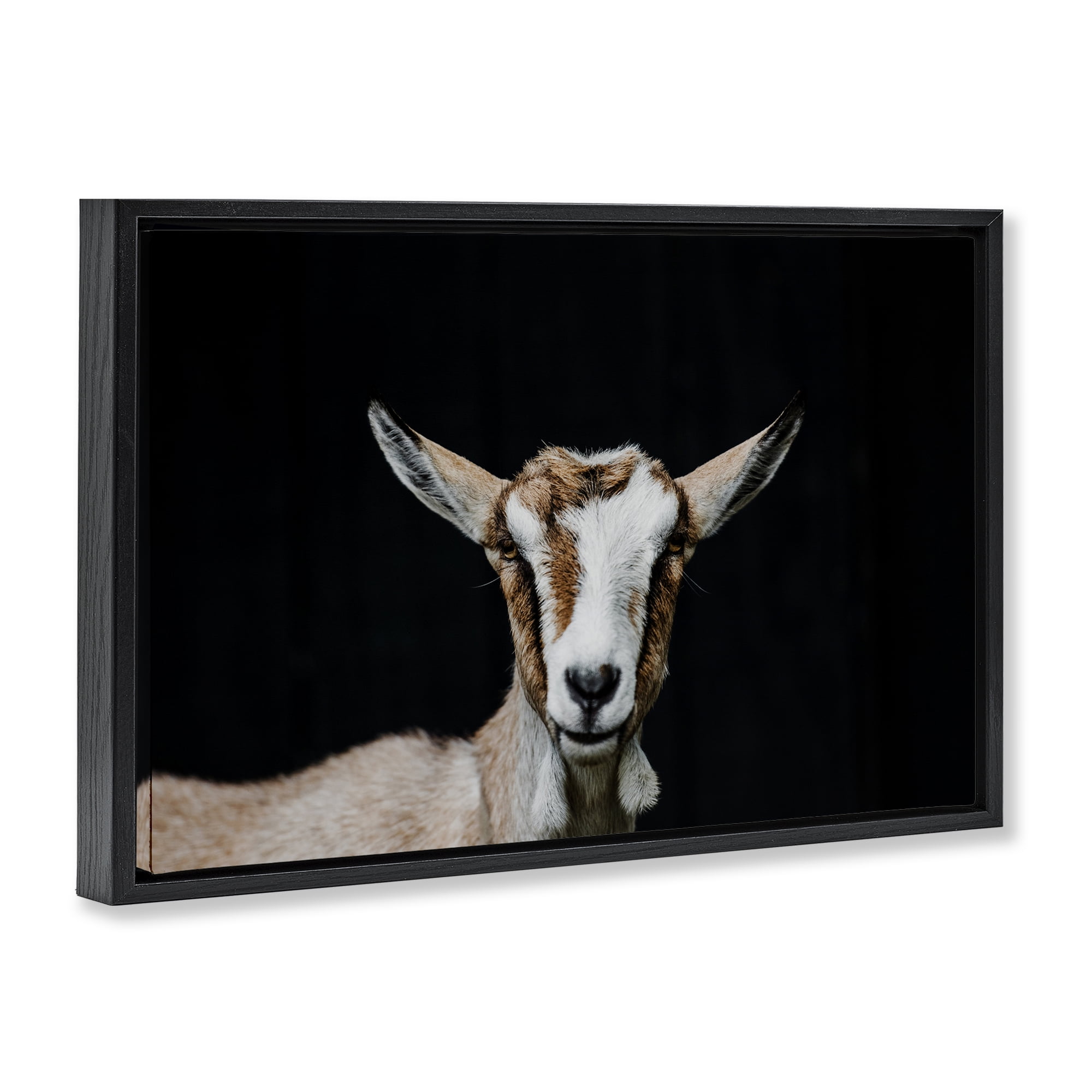 Goat Face over Black Black Framed Floater Canvas Wall Art, design by Amy Carroll