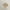 Beige, variant on Clearance! Baqcunre Baby Girl Straw Hat Outdoor Baby Sun Protection Hats Summer Lace Bowknot Beach Cap for Infant Toddler Girls, 1PC Sun Hat Beige A