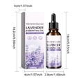 thumbnail image 3 of Aceites esenciales Elementos esenciales para el hogar Aceite de lavanda Natural,aceite sérum de lavanda,suero hidratante calmante para el envejecimiento,suero hidratante,(Buy 2 Save 10%), 3 of 9