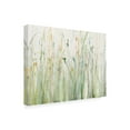 thumbnail image 4 of Avery Tillmon 'Spring Grasses II Crop' Canvas Art, 4 of 4