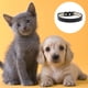 thumbnail image 3 of Collar de piel suave para perros: un collar para perros pequeños, medianos y grandes, 3 of 5