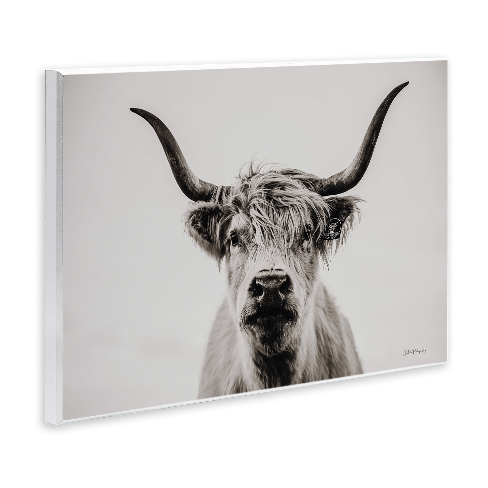 Stupell Industries Calm Cattle Portrait Animals & Insects Photography Unframed Art Print Wall Art, 19 x 13