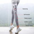 thumbnail image 3 of Tabla inclinada Camilla de pantorrilla Masaje magnético Tabla inclinada de tobillo plegable antideslizante Ajustable 10 niveles Inclinación Estiramiento Equipo de entrenamiento de fuerza de piernas, 3 of 8