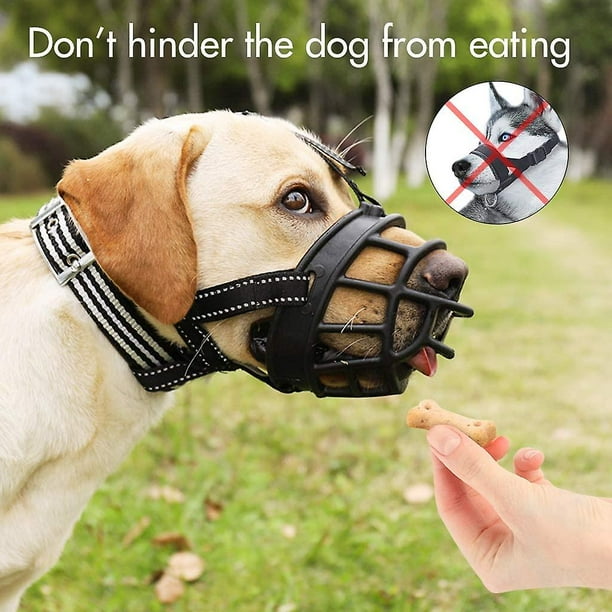 Muzzle for puppy eating cheap rocks