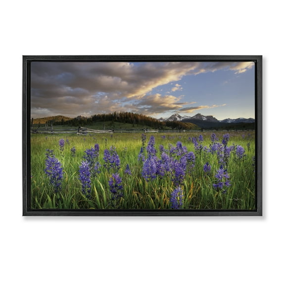 Stupell Industries Lavender Bloom Meadows Landscape & Nature Photography Black Floater Framed Canvas Art Print Wall Art, 25 x 17