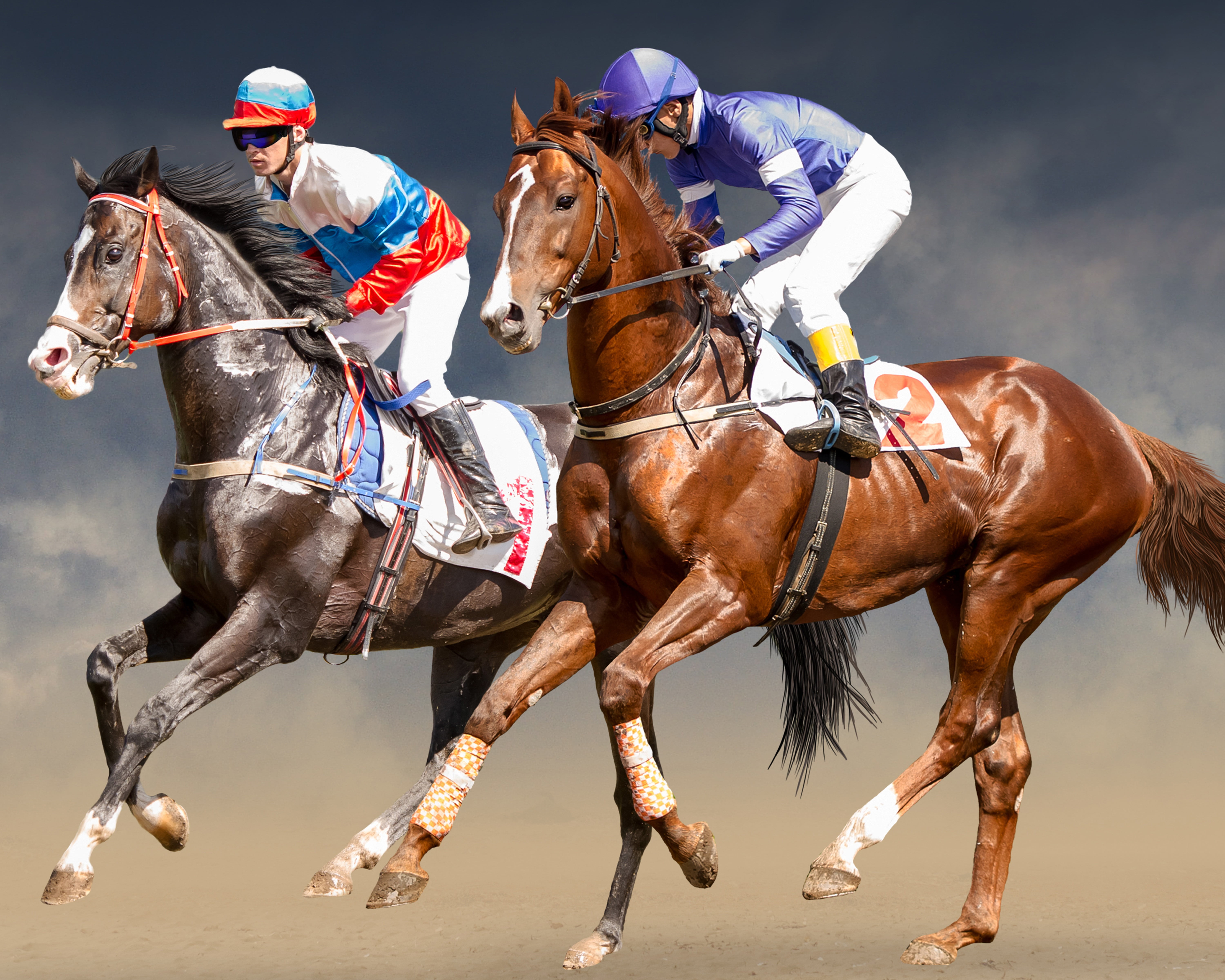 CVPuzzles Horse Race 504 Piece Jigsaw Puzzle 16" X 20"