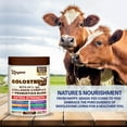 thumbnail image 6 of Zoyava Colostrum Powder with 40% IgG, Chocolate Flavor, Extra Strength 13-in-1 Supplement, Collagen Complex, Probiotics, Elderberry, L-Glutamine, Zinc, Vitamin C, Vitamin D3, 6 of 8