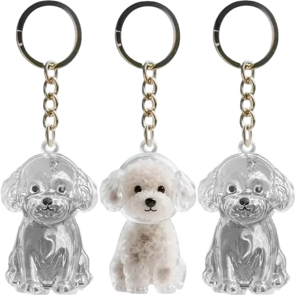 Pet Hair Storage Keyring 3pcs Dog Hair Storage Pendant Keychain, Pet Hair Souvenir Capsule Pendant Memorial Keychain for Pet Lovers