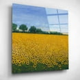 thumbnail image 3 of Epic Art 'Field of Sunflowers I' by Tim O'Toole, Acrylic Glass Wall Art, 12"x12", 3 of 7