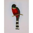 thumbnail image 2 of Ashley, Aaron 19x24 Black Modern Framed Museum Art Print Titled - Trogon Mexicanus, 2 of 4