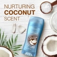 thumbnail image 6 of Secret Invisible Solid Antiperspirant Deodorant, Coconut Scent, 2.6 oz, 6 of 12