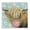 Bubblegum Sweetie Cattle, variant on Stupell Industries Shabby Chic Bubblegum Cutie Cattle Canvas Art, 17 x 17, by Sara G. Designs