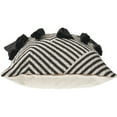 thumbnail image 2 of Ox Bay Tassel Geometric Stripe Chevron Throw Pillow, Black / White, 20" Square, Count per Pack 1, 2 of 5