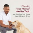 thumbnail image 5 of SmartBones Twist Sticks with Peanut Butter, Rawhide-Free Chews for Dogs, 50 Count, 5 of 11