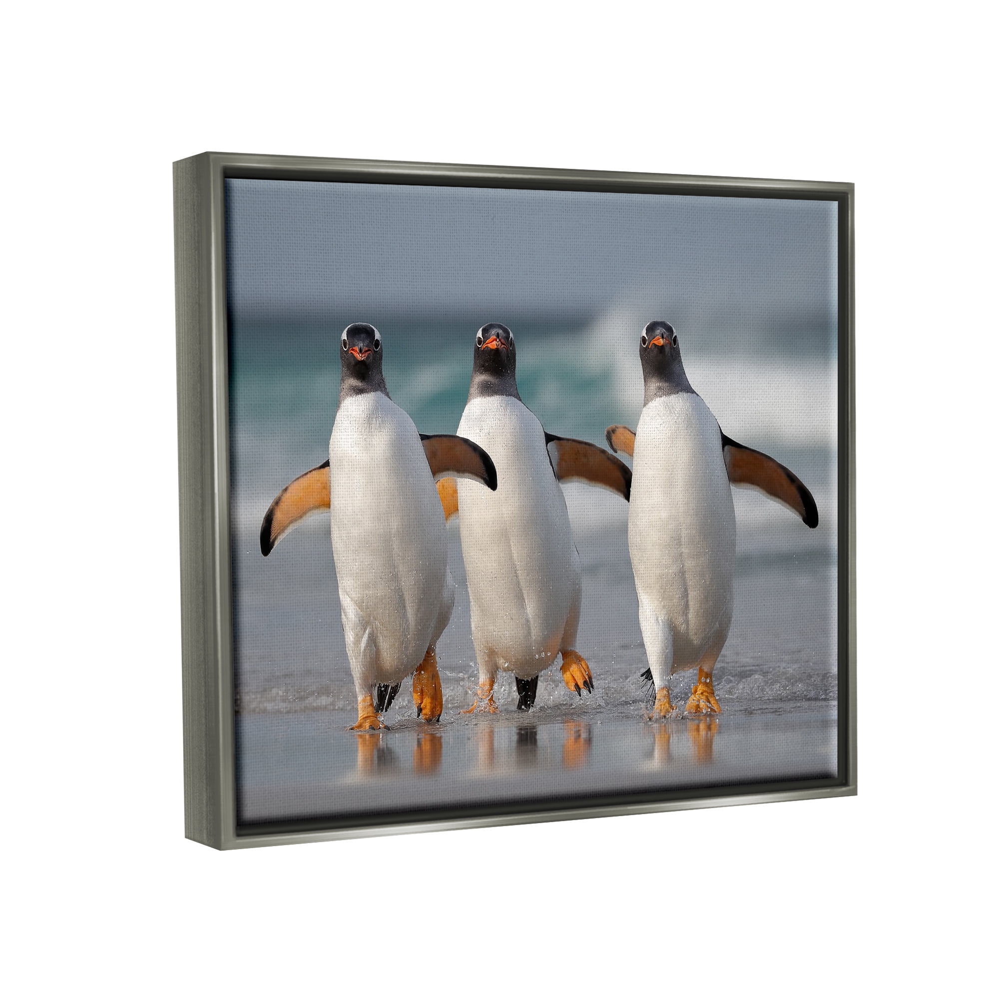 Stupell Industries Penguin Trio on Beach Animals & Insects Photography Gray Floater Framed Canvas Art Print Wall Art, 31 x 25