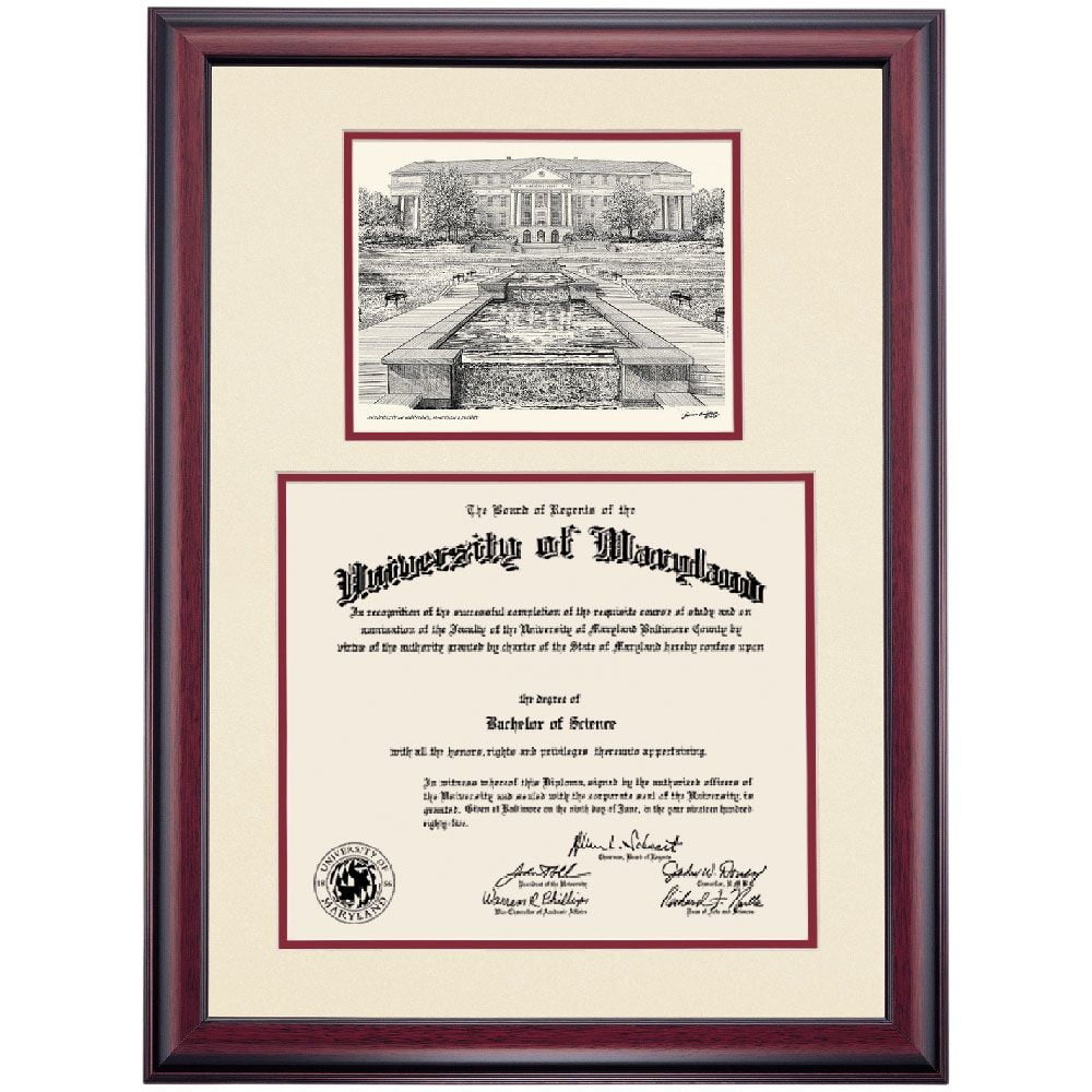 OCM Diploma Frame University of Maryland Terrapin Displays Diploma