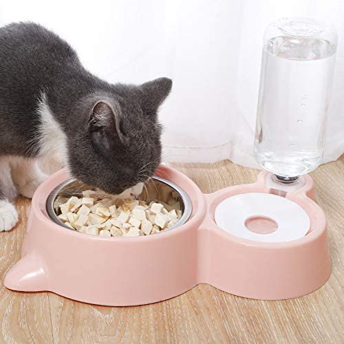 Double Dog Cat Bowl, Pet Water and Food Bowls Set with Detachable