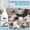 Cat Deterrent Spray, variant on Pet Wound Care Spray | Relieve Cats and Dogs Skin Itching & Soothe Irritated Skin | Pet Wound Care Solution