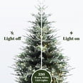 thumbnail image 4 of 7Ft Pre-Lit Green Artificial Fir Christmas Tree with Mistletoe Decorations, 4 of 11