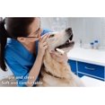 thumbnail image 3 of Cepillo de dientes para perro, 2 piezas, cepillo de dientes blanco para perro, cuidado de los dientes, cepillo de dientes para gato, actualización completa, fácil de limpiar, dientes de perro, 3 of 3