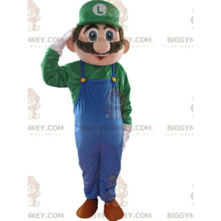 Luigi Costumes in Halloween Costumes 
