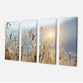 thumbnail image 2 of Typical Tuscany Sunset Italy - Landscape Canvas Art Print, 2 of 3