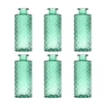 thumbnail image 1 of 6 jarrones de vidrio con forma de capullo para arreglos florales, portátiles, minimalistas, mini flores Verde, 1 of 7