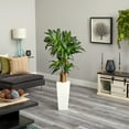 thumbnail image 3 of HomeStock Eclectic Exclusivity 5Ft. Cornstalk Dracaena Artificial Plant in White Tower Planter, Ideal for Narrow Spaces and Adding Serenity to Any Room, 3 of 3