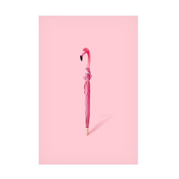 Trademark Fine Art Artem Pozdniakov Flambrella Canvas Wall Art