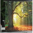 thumbnail image 4 of Ambesonne Tree Shower Curtain, Oak Autumn Leaves, 69"Wx75"L, Orange Green Brown, 4 of 5
