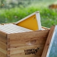 thumbnail image 5 of Honey Keeper 10 Assembled Beehive Frames with Waxed Natural Foundations for Beekeeping, 6-1/4 inch, 5 of 6
