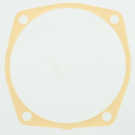 OMC Marine/Sterndrive Motor Shim 0313204 313204