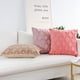 thumbnail image 3 of Dinheiro JOJUSIS Fundas de Almohada Decorativas de Terciopelo de Lana Corta de Felpa Fundas de cojín de Estilo Lujo Fundas de Almohada de Piel sintética para sofá Dormitorio Paquete de 2 18 x 18, 3 of 6