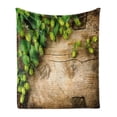 thumbnail image 1 of Plant Soft Flannel Fleece Blanket, Hop Twigs on an Old and Cracked Wooden Board Fresh Picked Whole Hops Brewing, Cozy Plush for Indoor and Outdoor Use, 60" x 80", Avocado Green Brown, by Ambesonne, 1 of 6