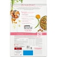 thumbnail image 3 of Purina Beneful Originals Dry Dog Food, High Protein Salmon with Mixed Vegetables, 15.5 lb Bag, 3 of 13