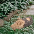 thumbnail image 1 of FENGGUIQU Caja De Llave Simulada En Resina Con Forma De Tocón Para Ocultar Llave En Exteriores, 1 of 7