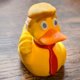 thumbnail image 5 of Pato Juguete Donald Trump Duck Doll Lindo (un Dedo Medio) Amarillo, 5 of 7