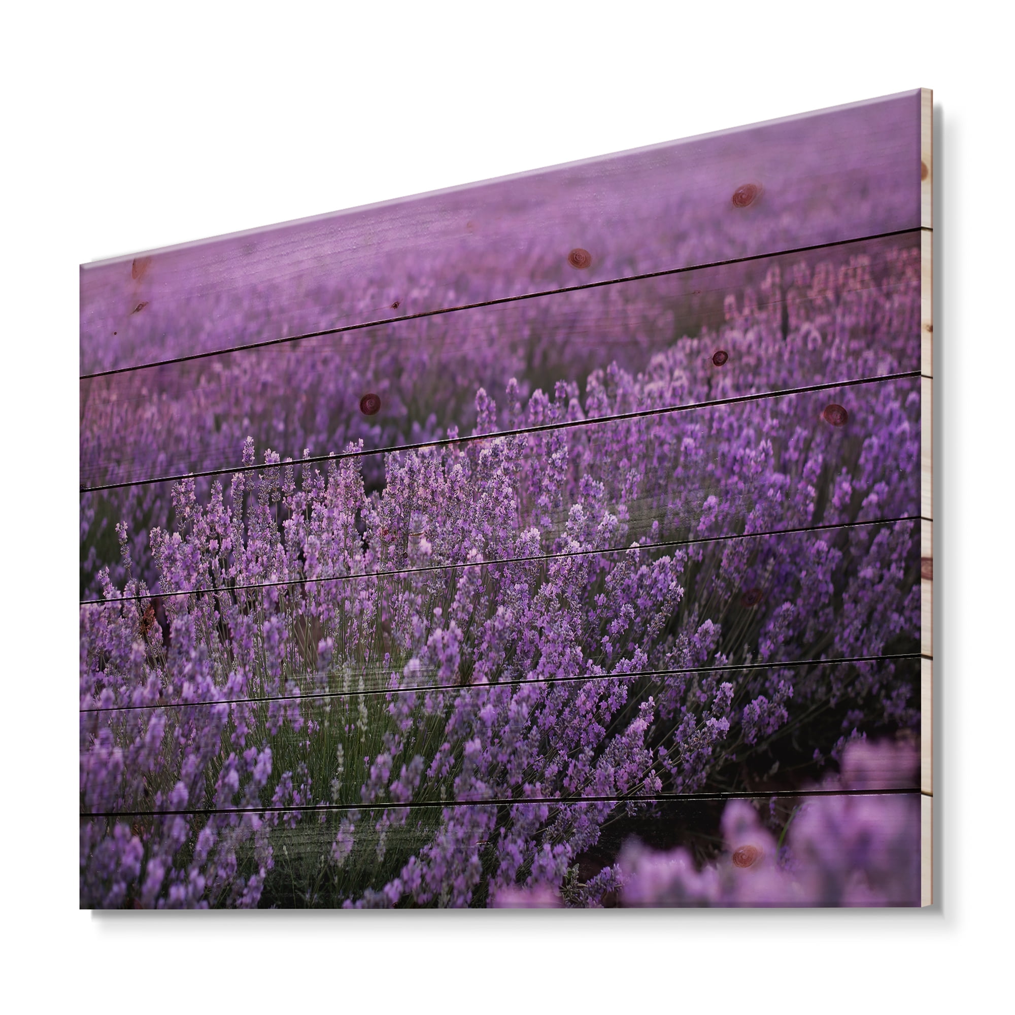 Designart 'Blooming Purple Lavender Meadow' Farmhouse Print on Natural Pine Wood