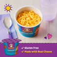 thumbnail image 3 of 2X-Annie's Gluten Free Real Aged Cheddar Mac N Cheese Microwave Macaroni and Cheese Cup - 2.01 oz, 3 of 4