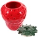 thumbnail image 4 of Tarro de té, bote de té de cerámica, tarro de almacenamiento de dulces de cerámica, bote de almacenamiento de té con forma de fresa, 4 of 7