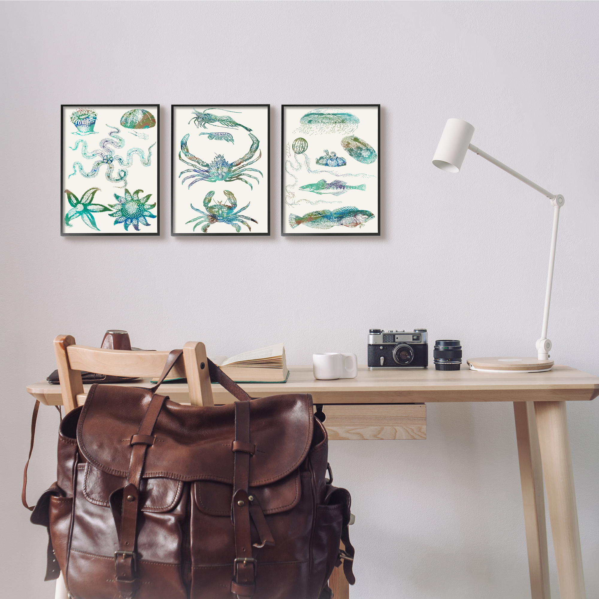 Stupell Industries Collage of Blue Aquatic Creatures Ocean Life Black Framed, 11 x 14, Design by Sharon Chandler