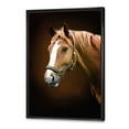 thumbnail image 3 of Designart 'Brown Horse With White Nose Portrait' Farmhouse Framed Canvas Wall Art Print, 3 of 5