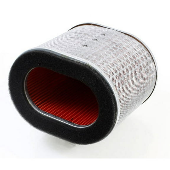 Hiflofiltro HFA1713 Premium OE Replacement Air Filter, Black