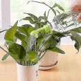 thumbnail image 4 of 2pcs/bag Garden Spray Watering Sprinkler Portable Waterer Garden Watering Nozzle Tool New, 4 of 5