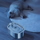 thumbnail image 4 of Xihbxyly Dispensador de Agua para Mascotas de Acero Inoxidable, 3,5 L de Gran Capacidad, Sistema de Filtración Avanzado, Bomba Silenciosa, Acero Inoxidable Duradero, para Perros y Gatos, Sin Bpa, Fác, 4 of 7