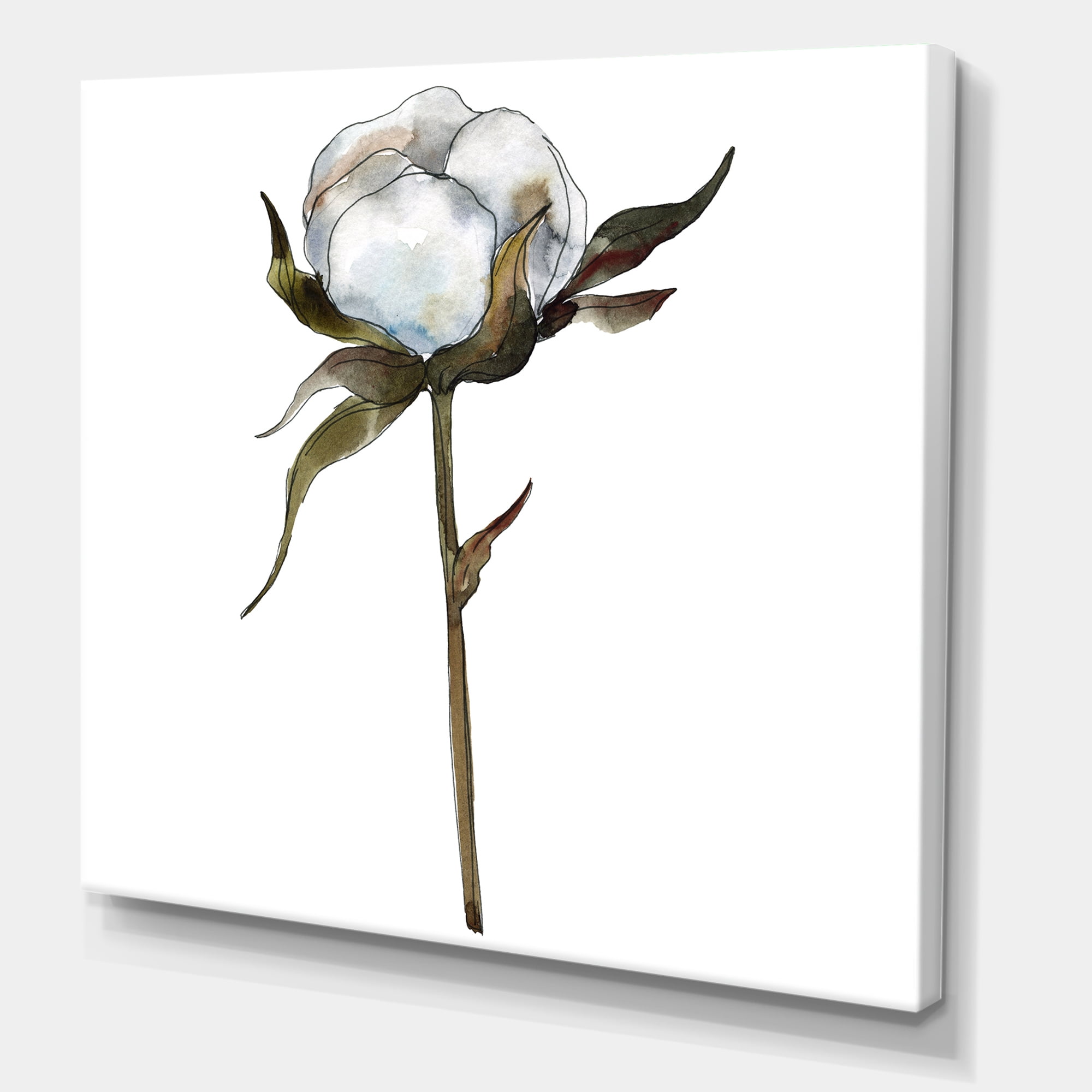 Designart ' Cotton Flower Retro Style ' Traditional Canvas Wall Art Print