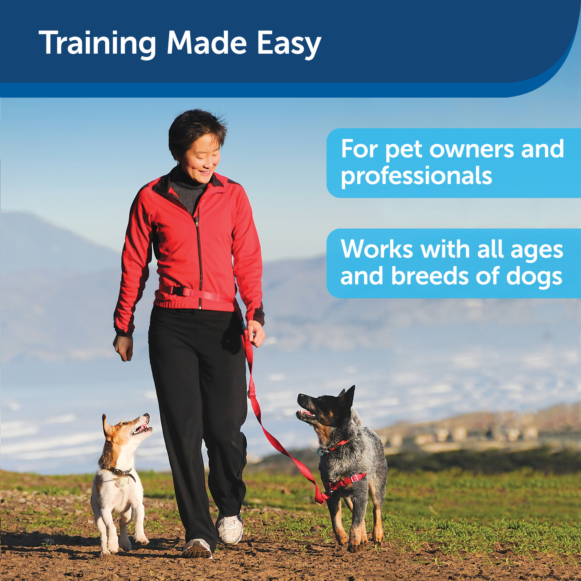 PetSafe Treat  Train Remote Reward Dog Trainer, Hand-held Remote, User  Guide