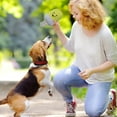 thumbnail image 5 of Interactive Dog Toy for Mental Stimulation and Health with Shape Recognition Squeaky Sounds Durable Chew Plaything, 5 of 5